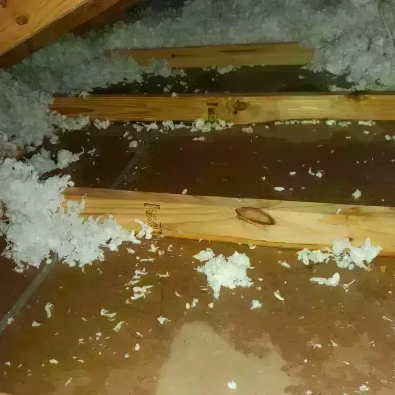 Attic Water Damage in New Fairfield, CT